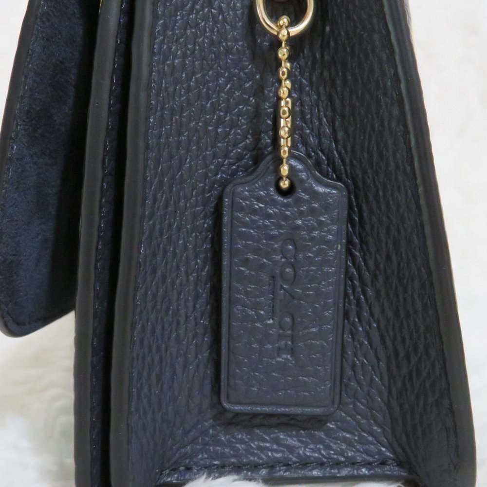 Coach Dreamy Land Floral Leather Mini Brynn (Midnight) - Picture 6 of 8